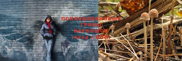 MDMA Верхний Тагил