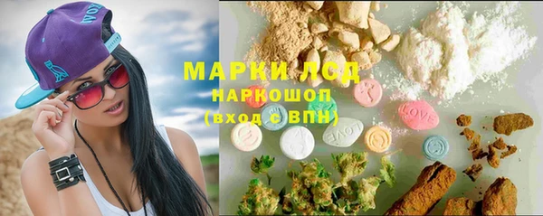 стафф Елабуга