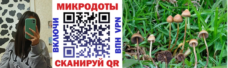 купить наркотики цена Льгов Галлюциногенные грибы GOLDEN TEACHER